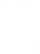 Les dernières colonnes de l'église