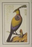 Shi no ryōgan o sozoro-arukisuru