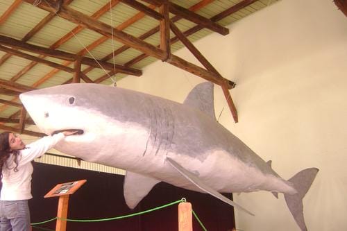 Habermas y La Sociologia