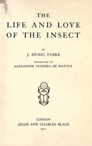 The life and love of the insect