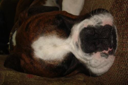 Learn to draw baby Looney tunes