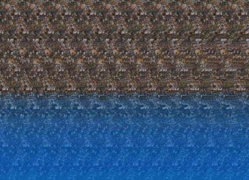 Texas Employer's Guide