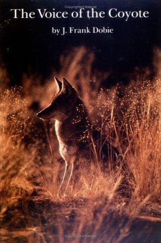 Voice of the Coyote