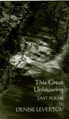 This Great Unknowing