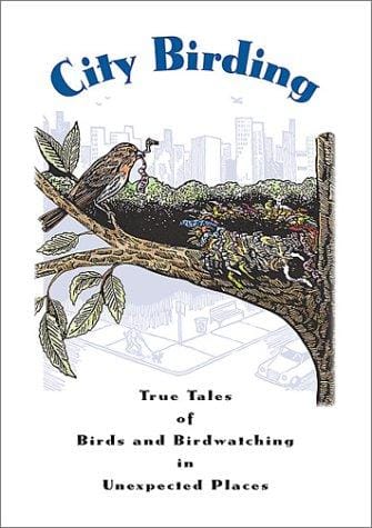City birding