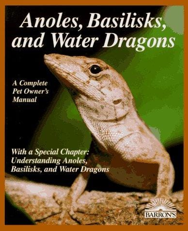 Anoles, basilisks, and water dragons