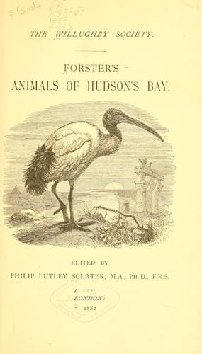 Forster's animals of Hudson's Bay