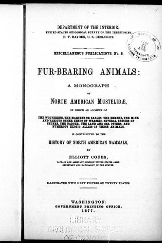 Fur-bearing animals