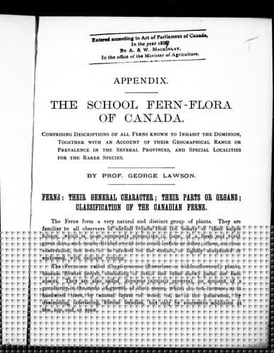 The school fern-flora of Canada