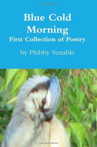 Blue Cold Morning