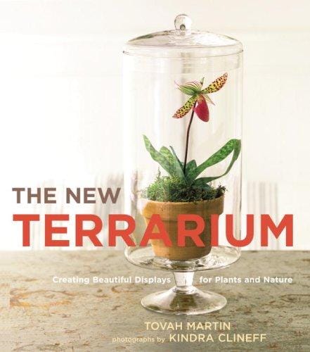 The new terrarium