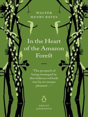 In the Heart of the Amazon Forest