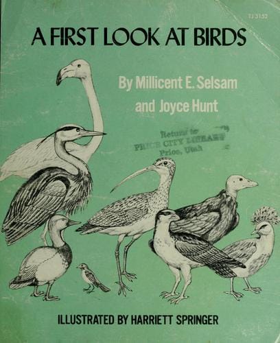 A first look at birds