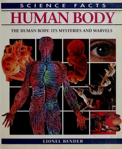 Human body