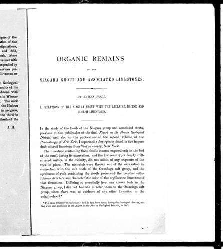 Organic remains of the Niagara group and associated limestones
