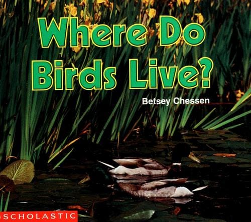 Where do birds live?