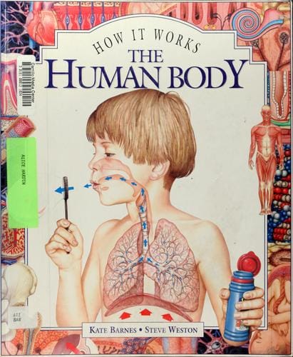 The human body