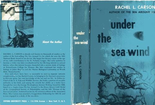 Under the sea-wind
