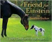A Friend for Einstein, the Smallest Stallion