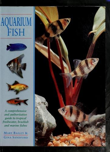 Aquarium fish
