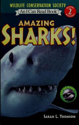 Amazing sharks