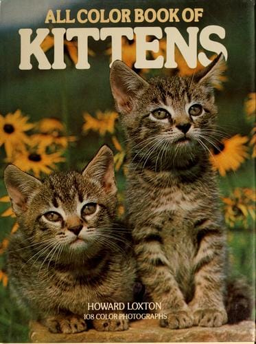 All color book of kittens