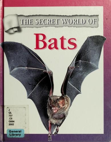 Bats