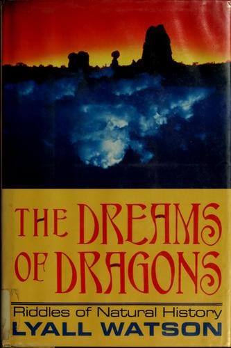 The dreams of dragons