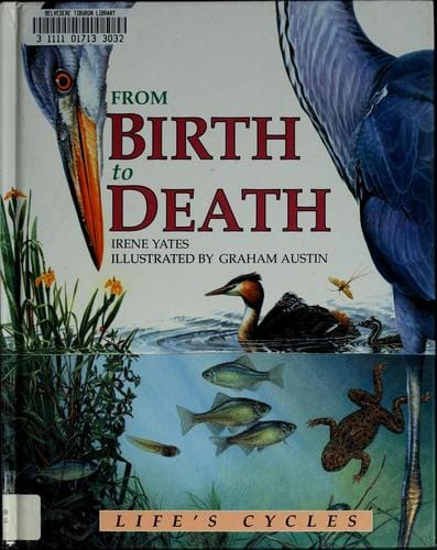 From birth to death