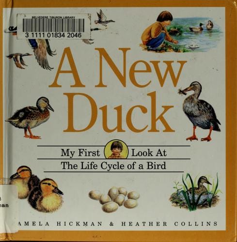 A new duck