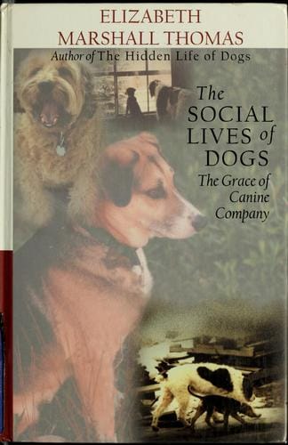The social lives of dogs