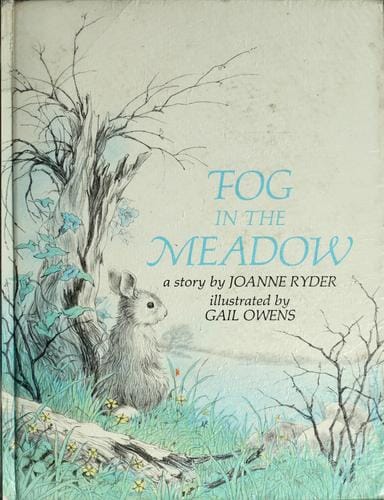 Fog in the meadow