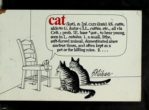 Cat (kat), n. ...