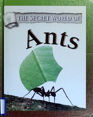 Ants