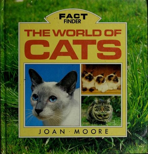 The world of cats