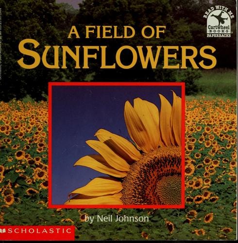A field of sunflowers