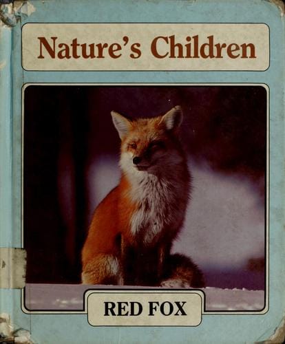 Red fox