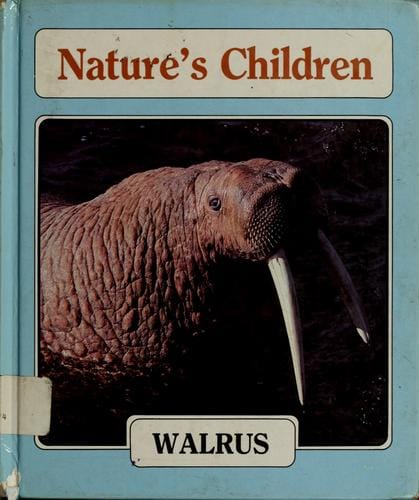Walrus