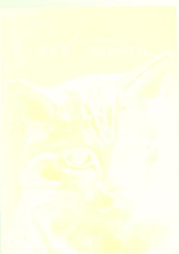 A cat blessing