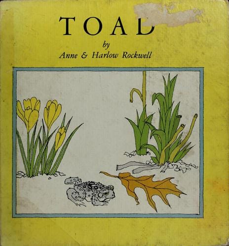 Toad