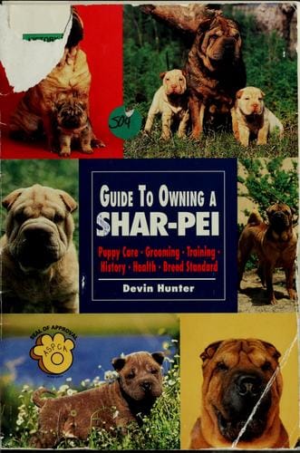 Guide to owning a Shar-Pei