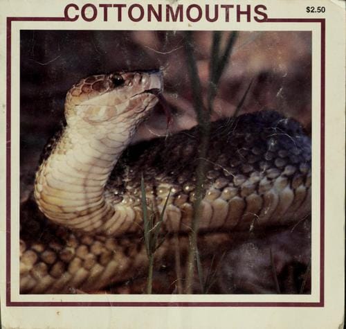 Cottonmouths