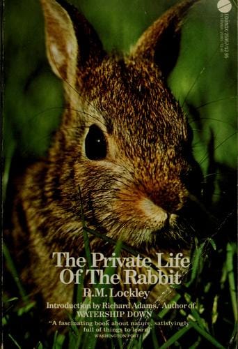 The private life of the rabbit
