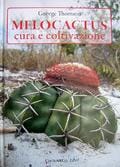 Melocactus