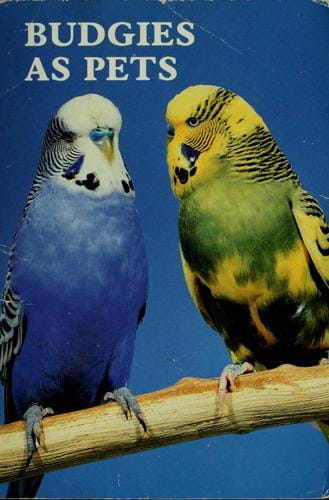 Budgies (parrakeets) as pets