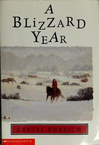 A blizzard year