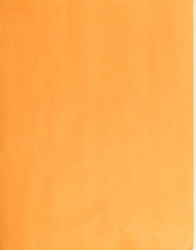 Growing garden potatoes