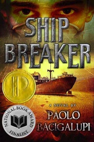 Ship breaker