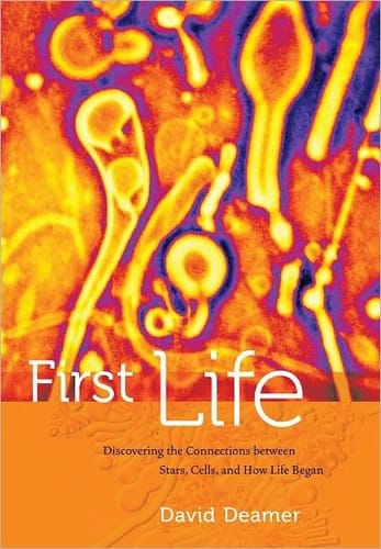First life