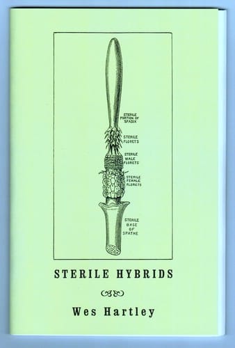Sterile Hybrids